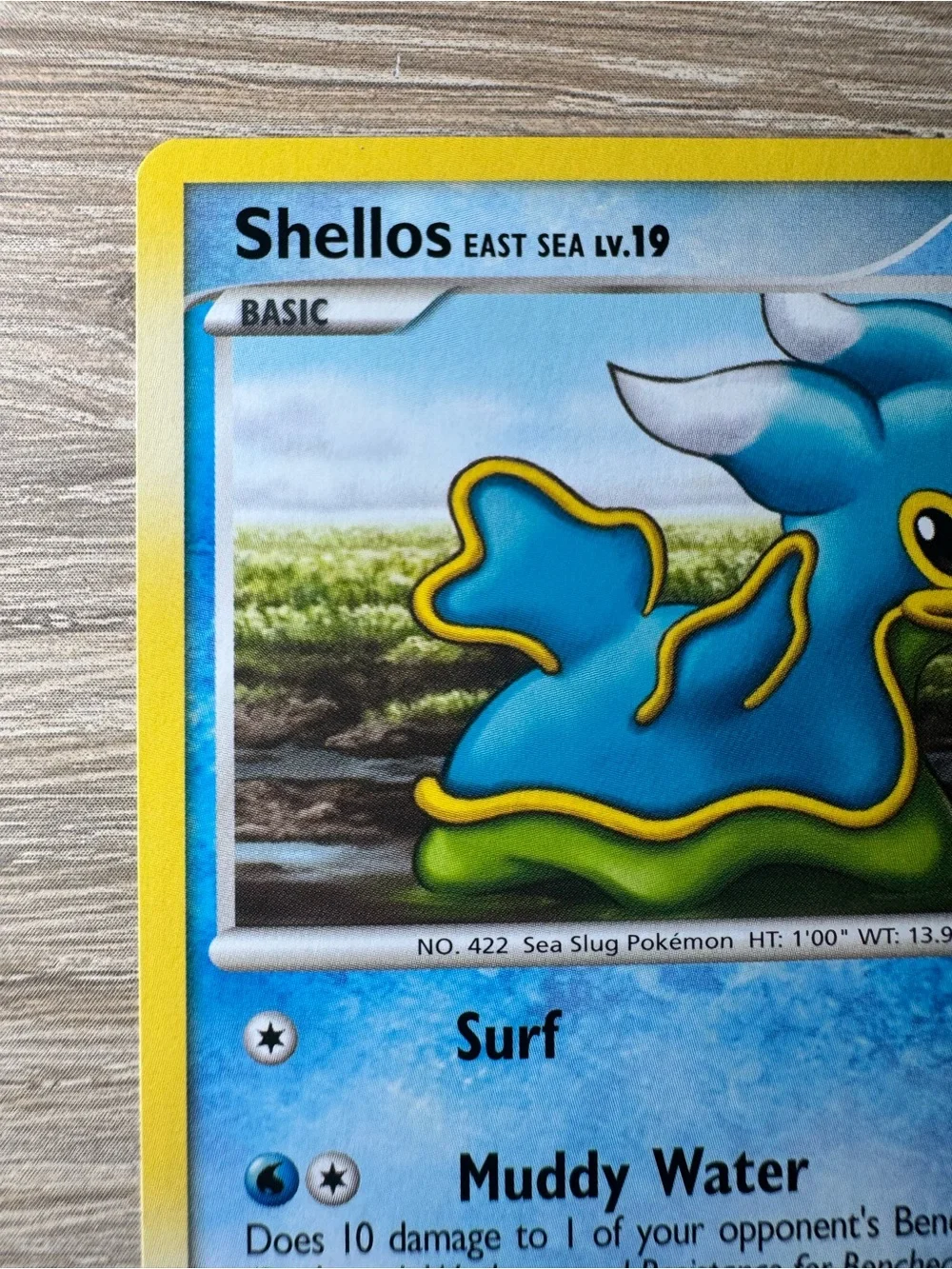 Shellos East Sea #73/Pokemon Majestic Dawn